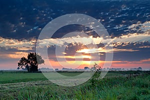 Dramatic sunrise over pasture