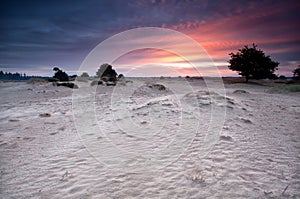 Dramatic sunrise over sand dunes