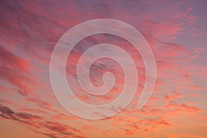 Dramatic sunrise, sunset pink orange violet blue sky with cirrus clouds in sunlight abstract background texture