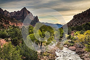 dramatic sunrise in Watchman and Virgin river landscape taken in Zion national Park in Utah during autumn.