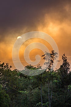 Dramatic Sunset above Rainforest of Lamington National Park, Queensland, Australia