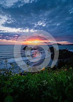 A Dramatic Sunset at the Beach, Color Image