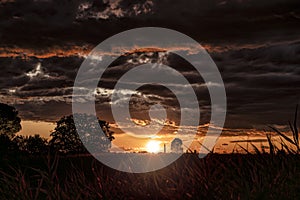 Dramatic sunset over a cornfield with dark clouds