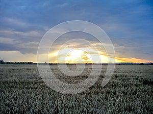 Dramatic sunset over field