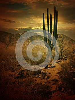 Dramatic sunset over the Santa Catalina Mountain range and Oro Valley in Tucson Arizona USA