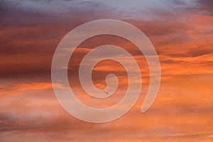 Sunset red sky with clouds horizontal background