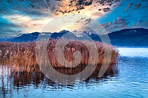 Dramatic sunset on the shores of the Upper Zurich Lake Obersee, Rapperswil, Sankt Gallen, Switzerland photo