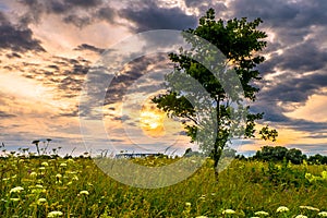 Dramatic sunset sky over the flowered Bogolyubovo meadow, Vladimir region, Russia.