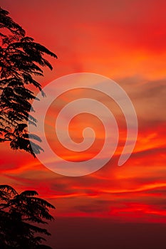 Dramatic sunset sky over a tropical forest