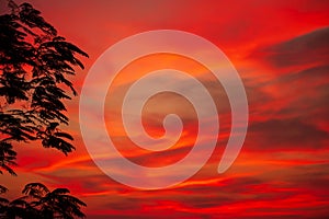 Dramatic sunset sky over a tropical forest