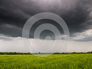 Dramatic thundercloud over a wheat field