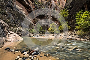 dramatic and tranquil landscape image taken in the Narrows on Zion national park. Its the Virgin River r in the park.