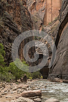 dramatic and tranquil landscape image taken in the Narrows on Zion national park. Its the Virgin River r in the park.