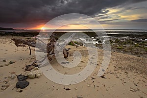 The dramatic twilight on the deere beach