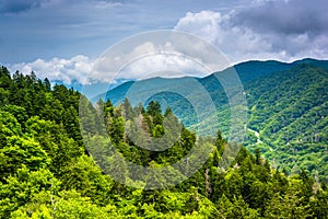 Dramatic view of the Appalachian Mountains from Newfound Gap Road, at Great Smoky Mountains National Park, Tennessee. photo