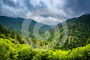 Dramatic view of the Appalachian Mountains from Newfound Gap Road, at Great Smoky Mountains National Park, Tennessee.