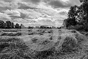 Dramatic view of harvested crops seen under a menacing, summer sky before a storm.