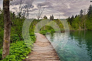 Dramatic wildness view in Plitvice National Park, Croatia photo