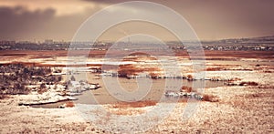 dramatic winter landscape with the lake and suburban horizon