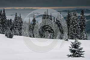 Dramatic winter landscape. View of a snow-covered forest, cloudy sky in mountains. Nature concept background.