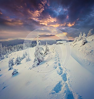 Dramatic winter sunset in Carpathian mountains with snow cowered