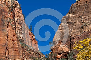 Dramatic Zion Cliffs with Blue Sky