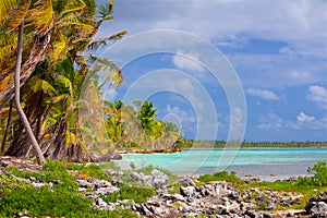 Dramatical beach in the Caribbean with palm trees and white sand photo