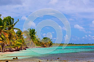 Dramatical beach in the Caribbean with palm trees and white sand photo