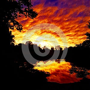 Dramatically pronounced orange sunset with tree silhouettes against the sky