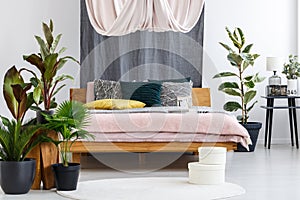 Drapes in cozy bedroom