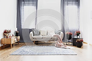 Drapes in living room interior