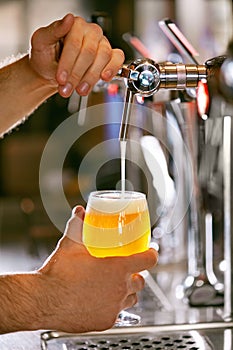 Draught Beer. Closeup Pouring Fresh Beer In Glass