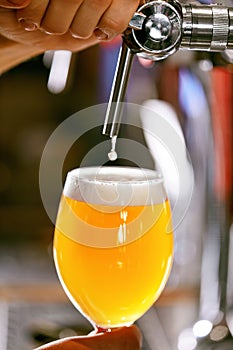 Draught Beer. Closeup Pouring Fresh Beer In Glass