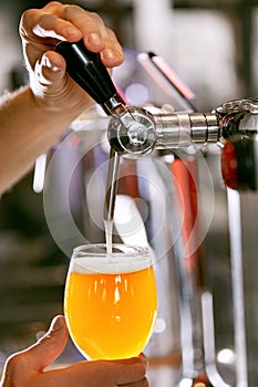 Draught Beer. Closeup Pouring Fresh Beer In Glass photo