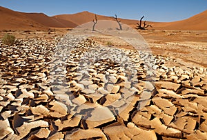 Draught in desert photo
