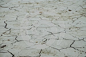 Draught, dry soil - global warming concept