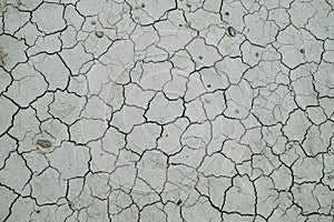 Draught, dry soil - global warming concept
