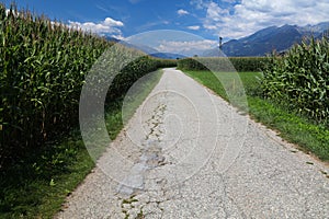 Drava long distance bicycle path in Austria