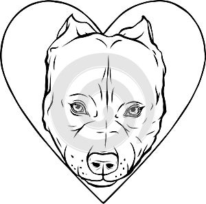 draw in black and white of pitbull head dog in heart vector illustration