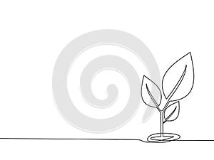 Draw a continuous line of the growing tree. vector illustration Eps