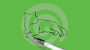 Draw sitting cat in grey color with pink ears and black outline on abstract green background