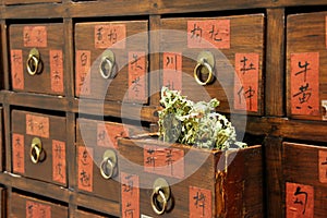 Drawers of Chinese medicine shop