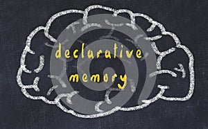 Drawind of human brain on chalkboard with inscription declarative memory