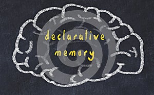 Drawind of human brain on chalkboard with inscription declarative memory