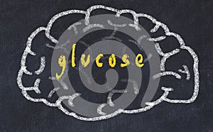 Drawind of human brain on chalkboard with inscription glucose