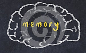 Drawind of human brain on chalkboard with inscription memory