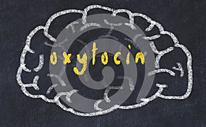 Drawind of human brain on chalkboard with inscription oxytocin