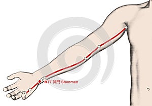 Drawing Acupuncture Point HT7 Shenmen, 3D Illustration