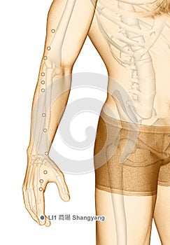 Drawing Acupuncture Point LI1 Shangyang, 3D Illustration