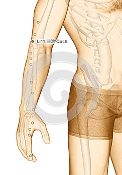 Drawing Acupuncture Point LI11 Quchi, 3D Illustration